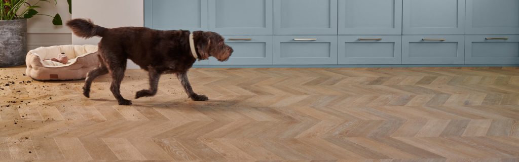 hallway_lifestyle_shot_-224_rgb-1920-x-600px