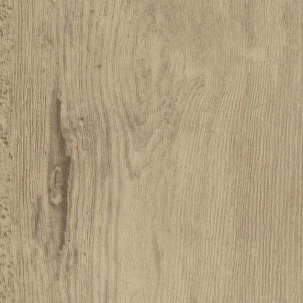 Bleached Larch Flooring - Image 2
