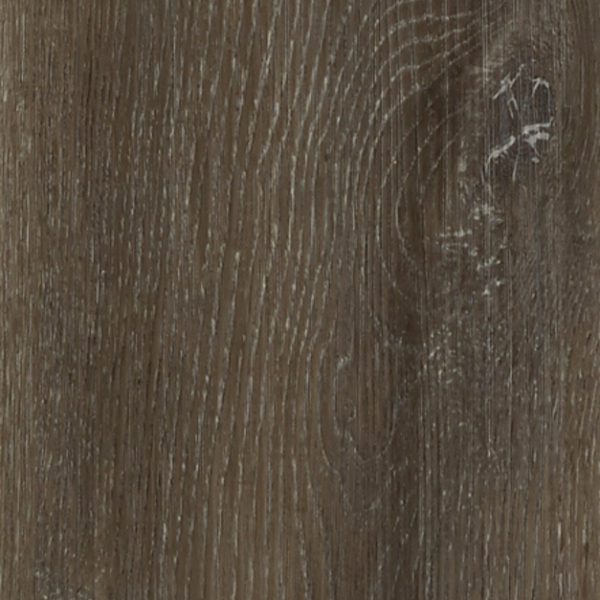 Brushed Oak Swatch